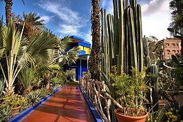 Bernhard Saalfeld - Jardin Majorelle